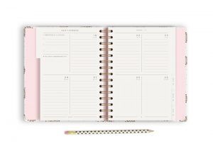 Agenda erizos Charuca