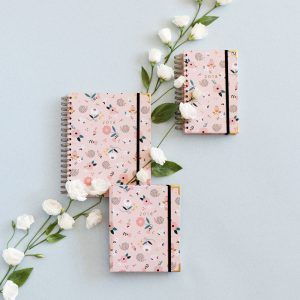 Agendas Charuca erizo 2018