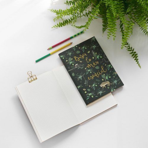 Cuadernos
